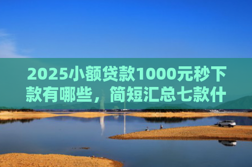 2025小额贷款1000元秒下款有哪些，简短汇总七款什么网贷秒下款新口子