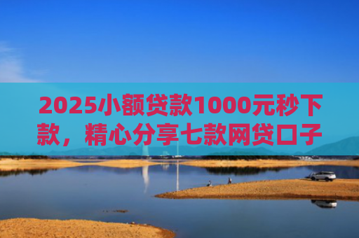2025小额贷款1000元秒下款，精心分享七款网贷口子怎么填下款高
