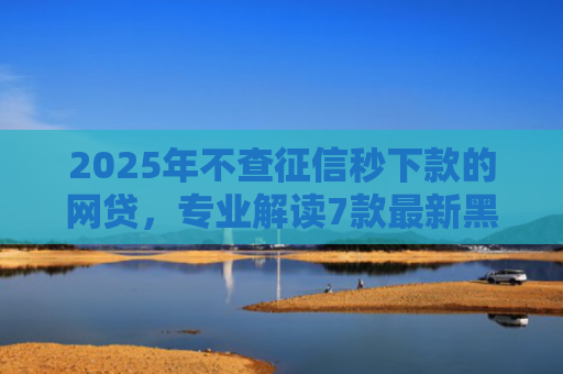 2025年不查征信秒下款的网贷，专业解读7款最新黑户网贷下款口子