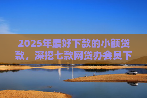 2025年最好下款的小额贷款，深挖七款网贷办会员下款口子