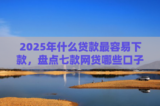 2025年什么贷款最容易下款，盘点七款网贷哪些口子比下款