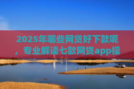 2025年哪些网贷好下款呢，专业解读七款网贷app操作下款口子