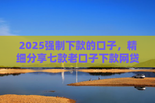 2025强制下款的口子，精细分享七款老口子下款网贷平台