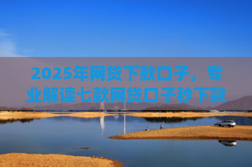 2025年网贷下款口子，专业解读七款网贷口子秒下款app