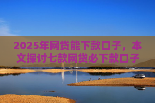 2025年网贷能下款口子，本文探讨七款网贷必下款口子平台