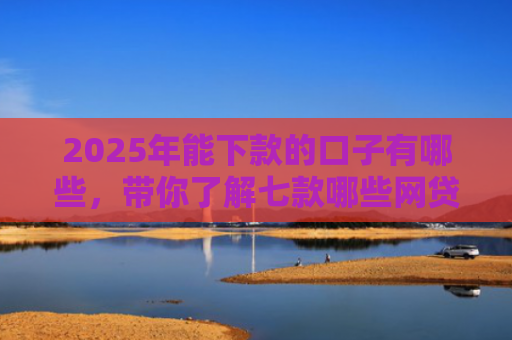 2025年能下款的口子有哪些，带你了解七款哪些网贷口子必下款