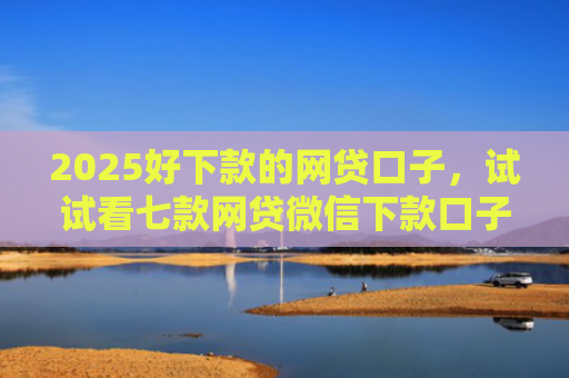 2025好下款的网贷口子，试试看七款网贷微信下款口子