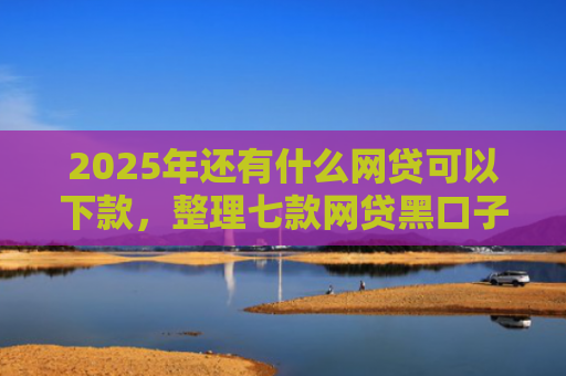 2025年还有什么网贷可以下款，整理七款网贷黑口子必下款
