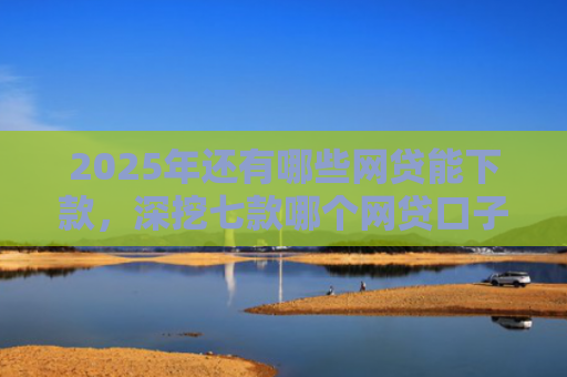 2025年还有哪些网贷能下款，深挖七款哪个网贷口子下款最快