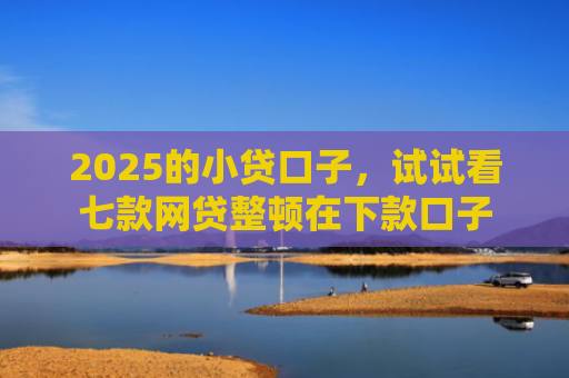2025的小贷口子，试试看七款网贷整顿在下款口子