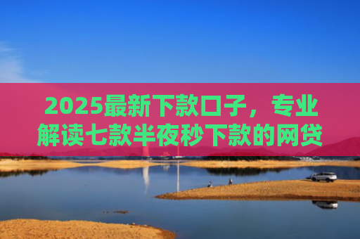 2025最新下款口子，专业解读七款半夜秒下款的网贷口子