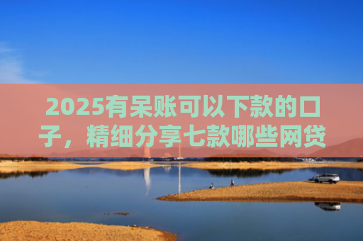 2025有呆账可以下款的口子，精细分享七款哪些网贷口子好下款的