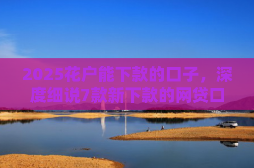 2025花户能下款的口子，深度细说7款新下款的网贷口子