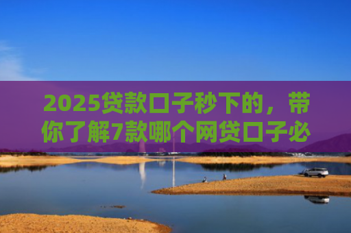 2025贷款口子秒下的，带你了解7款哪个网贷口子必下款