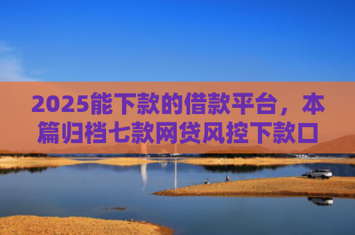 2025能下款的借款平台，本篇归档七款网贷风控下款口子