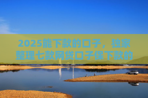 2025能下款的口子，独家整理七款网贷口子保下款的