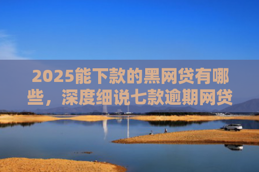 2025能下款的黑网贷有哪些，深度细说七款逾期网贷下款贷款口子