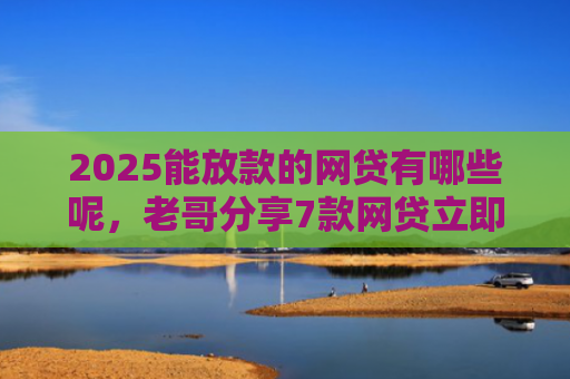 2025能放款的网贷有哪些呢，老哥分享7款网贷立即下款的口子