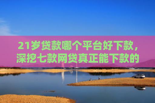 21岁贷款哪个平台好下款，深挖七款网贷真正能下款的口子