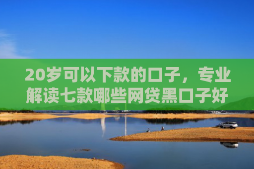 20岁可以下款的口子，专业解读七款哪些网贷黑口子好下款