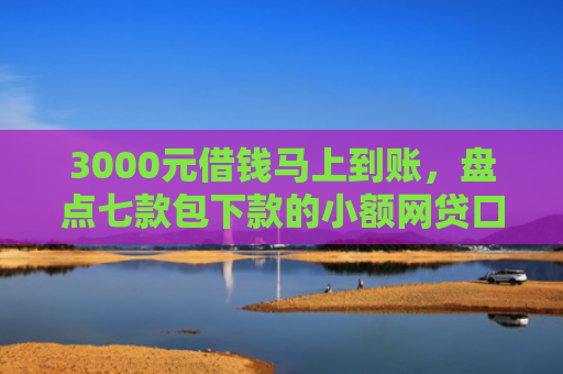 3000元借钱马上到账，盘点七款包下款的小额网贷口子