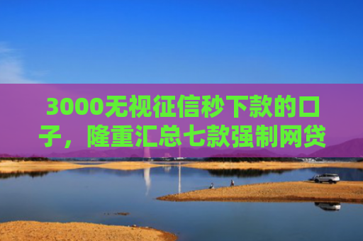 3000无视征信秒下款的口子，隆重汇总七款强制网贷还能下款的口子
