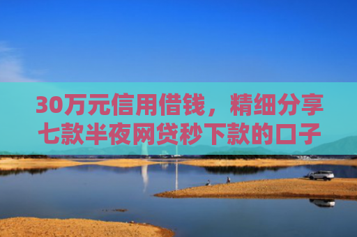 30万元信用借钱，精细分享七款半夜网贷秒下款的口子