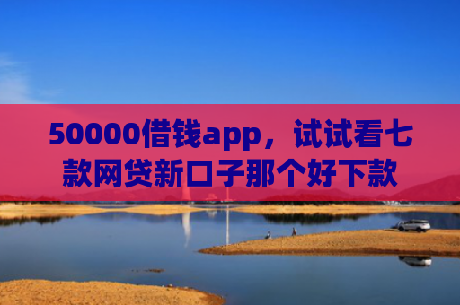 50000借钱app，试试看七款网贷新口子那个好下款