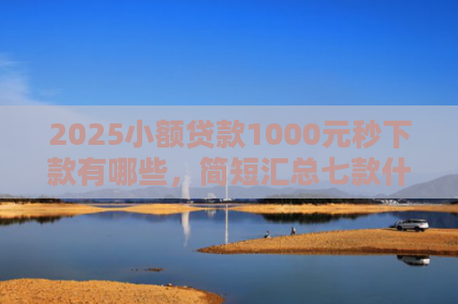 2025小额贷款1000元秒下款有哪些，简短汇总七款什么网贷秒下款新口子