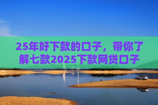25年好下款的口子，带你了解七款2025下款网贷口子