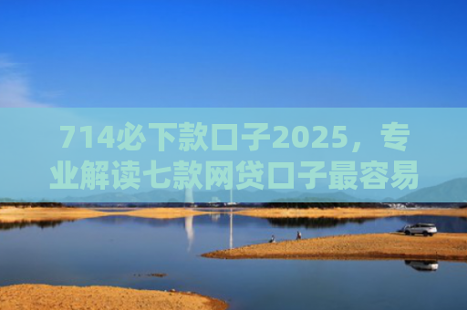714必下款口子2025，专业解读七款网贷口子最容易下款吗