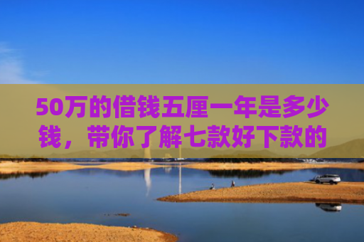 50万的借钱五厘一年是多少钱，带你了解七款好下款的网贷正规口子