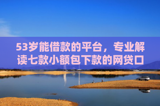 53岁能借款的平台，专业解读七款小额包下款的网贷口子