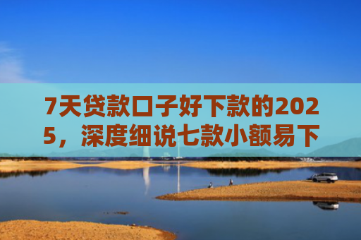 7天贷款口子好下款的2025，深度细说七款小额易下款的网贷口子