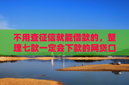 不用查征信就能借款的，整理七款一定会下款的网贷口子