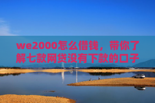 we2000怎么借钱，带你了解七款网贷没有下款的口子吗