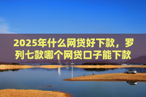 2025年什么网贷好下款，罗列七款哪个网贷口子能下款