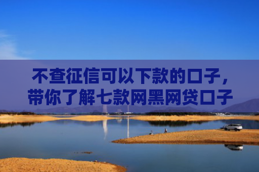 不查征信可以下款的口子，带你了解七款网黑网贷口子马上下款的