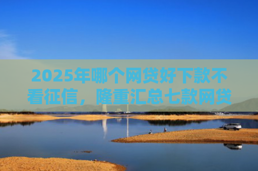 2025年哪个网贷好下款不看征信，隆重汇总七款网贷夜间下款的口子
