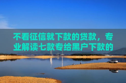不看征信就下款的贷款，专业解读七款专给黑户下款的网贷口子