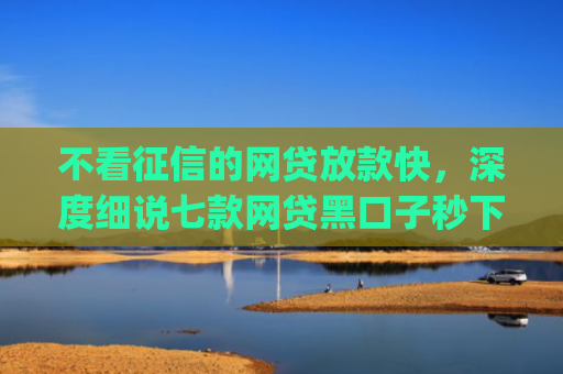 不看征信的网贷放款快，深度细说七款网贷黑口子秒下款app2025