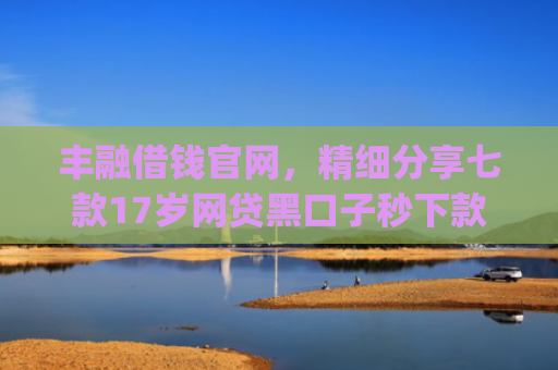 丰融借钱官网，精细分享七款17岁网贷黑口子秒下款app