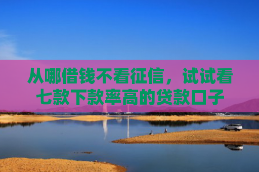 从哪借钱不看征信，试试看七款下款率高的贷款口子