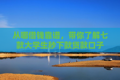 从哪借钱靠谱，带你了解七款大学生秒下款贷款口子