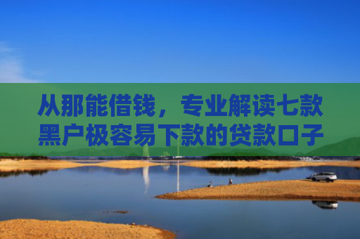 从那能借钱，专业解读七款黑户极容易下款的贷款口子