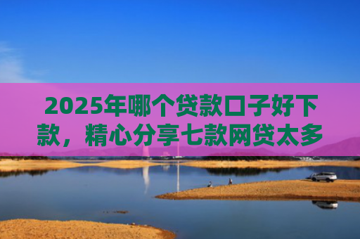 2025年哪个贷款口子好下款，精心分享七款网贷太多易下款口子