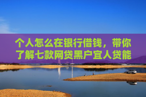 个人怎么在银行借钱，带你了解七款网贷黑户宜人贷能下款吗