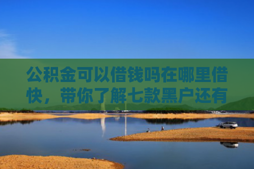 公积金可以借钱吗在哪里借快，带你了解七款黑户还有什么网贷下款