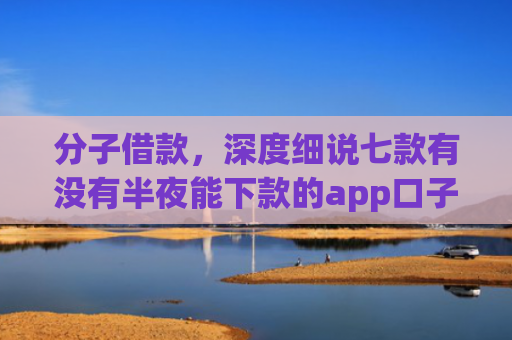 分子借款，深度细说七款有没有半夜能下款的app口子