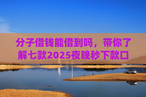 分子借钱能借到吗，带你了解七款2025夜晚秒下款口子app